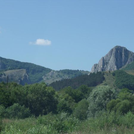 Studiouri Valisoara Exterior foto