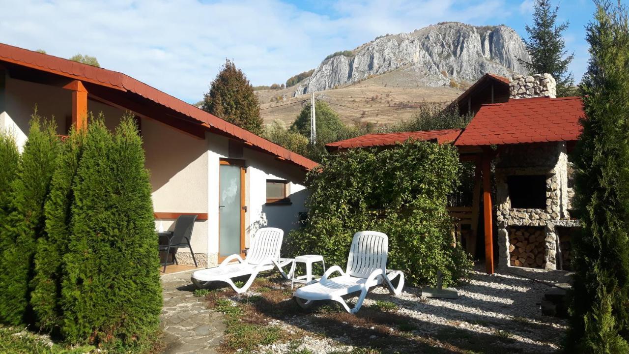 Studiouri Valisoara Exterior foto