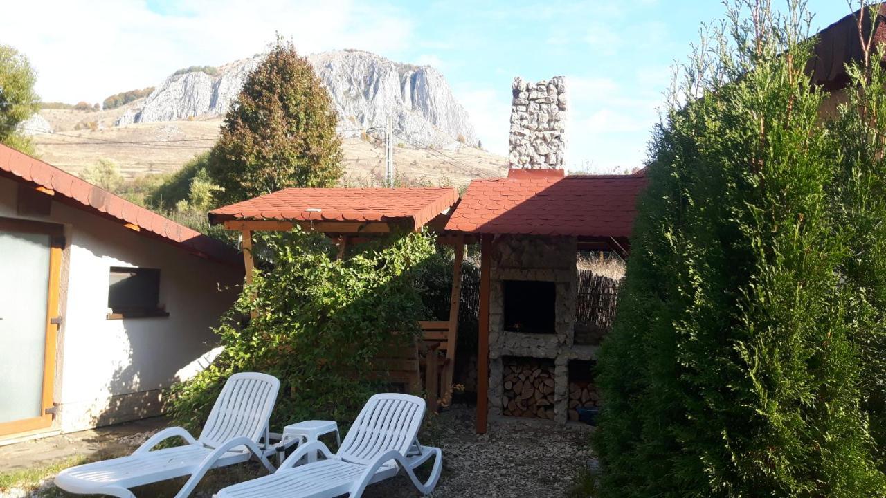 Studiouri Valisoara Exterior foto