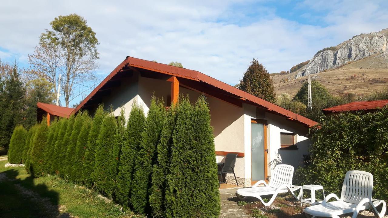 Studiouri Valisoara Exterior foto