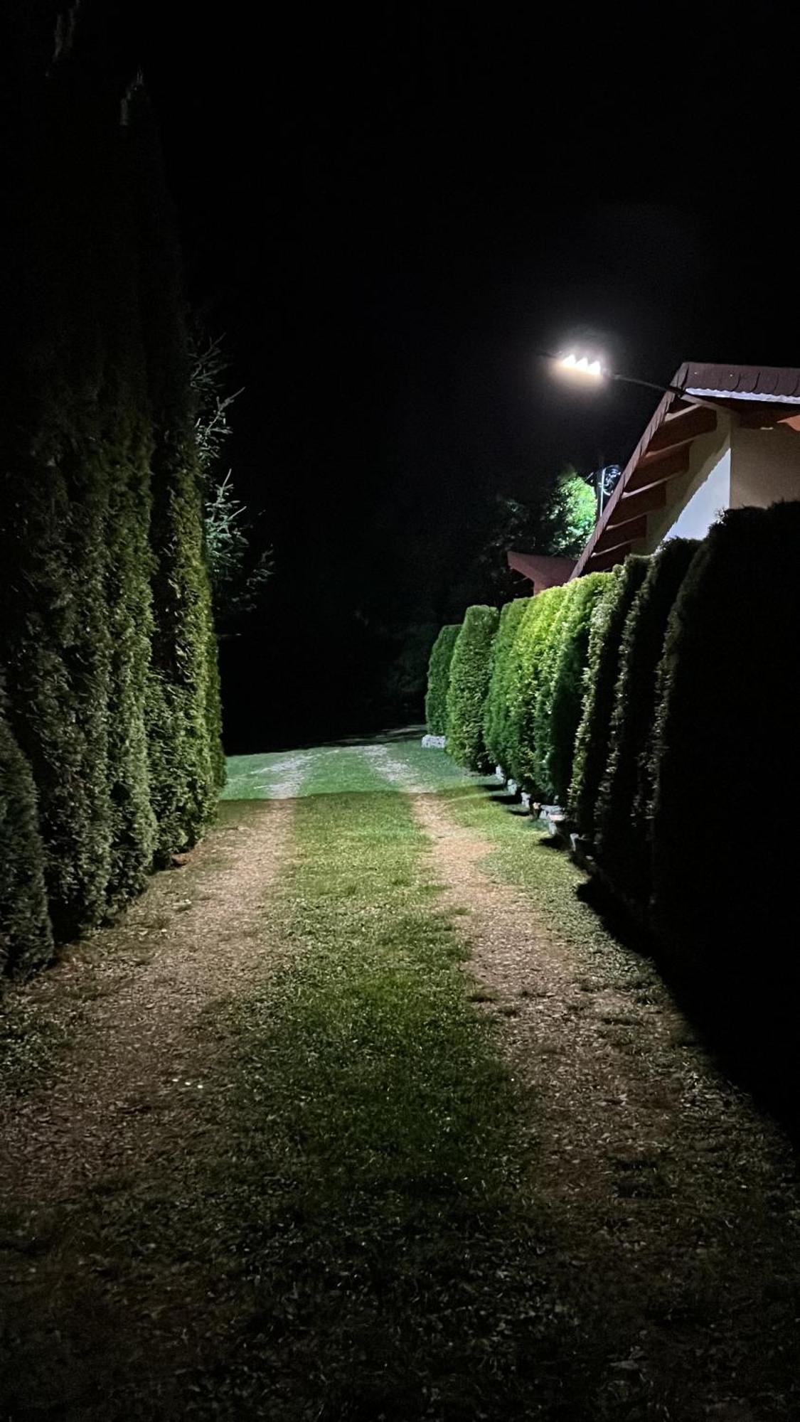 Studiouri Valisoara Exterior foto