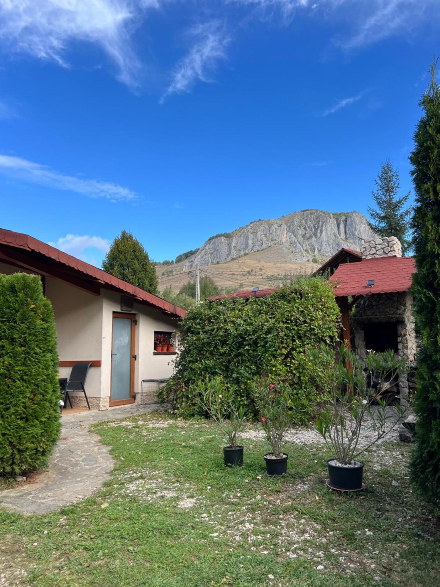 Studiouri Valisoara Exterior foto