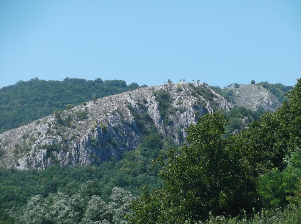 Studiouri Valisoara Quarto foto