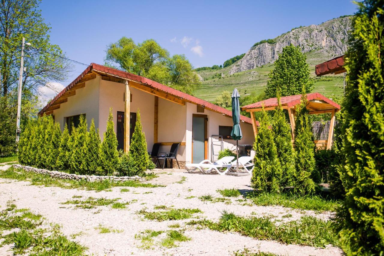 Studiouri Valisoara Exterior foto