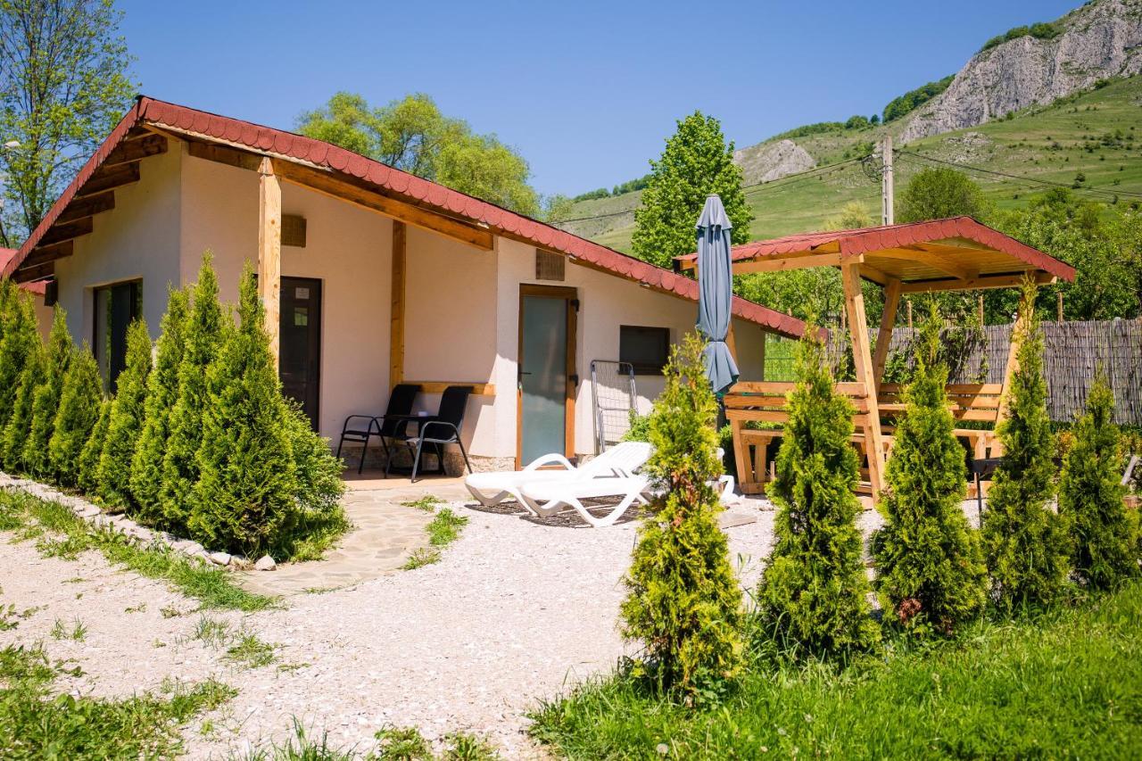 Studiouri Valisoara Exterior foto