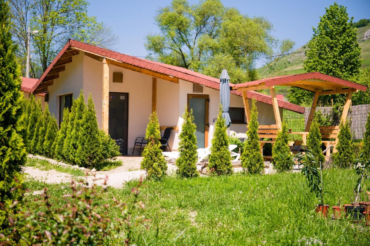 Studiouri Valisoara Exterior foto