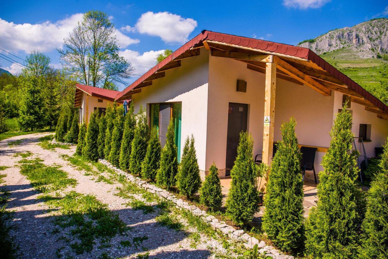 Studiouri Valisoara Exterior foto