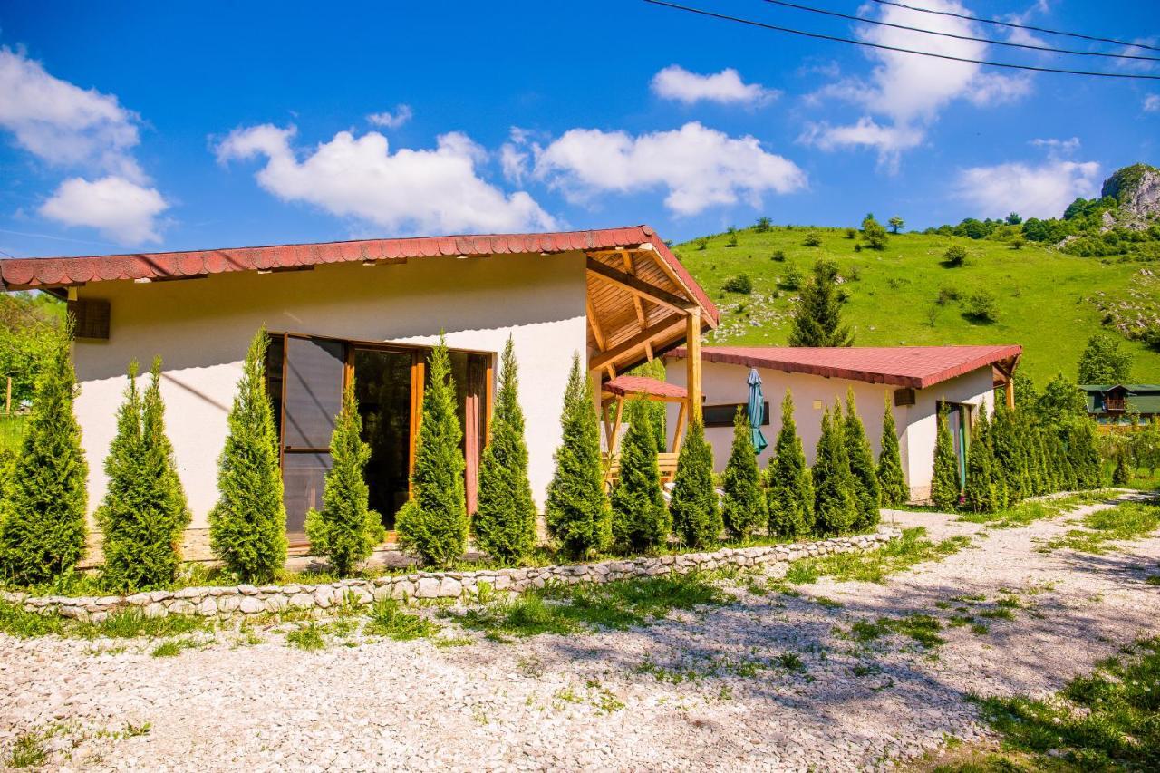 Studiouri Valisoara Exterior foto