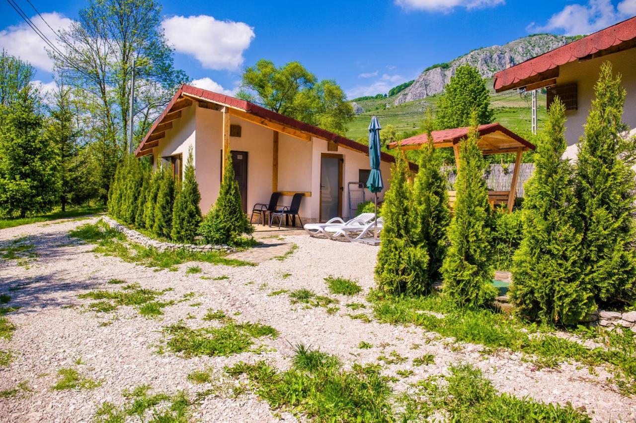 Studiouri Valisoara Exterior foto
